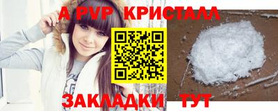 бошки Тверь