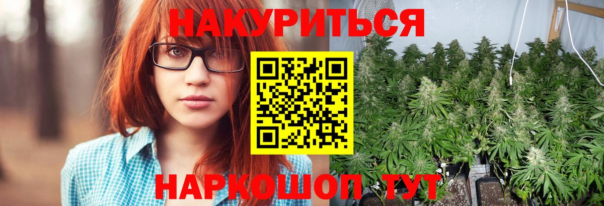 Марихуана план  Бошки марихуана OG Kush  Строитель  Вход с VPN 